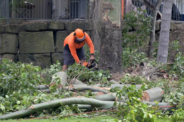 Best Tree Preservation Services  in Bend, OR